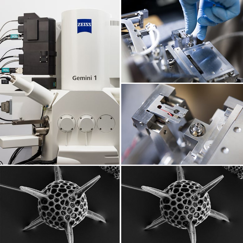 場發(fā)射掃描電鏡 場發(fā)射掃描電鏡
